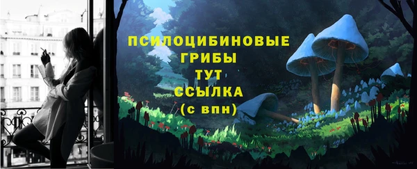 мет Абаза