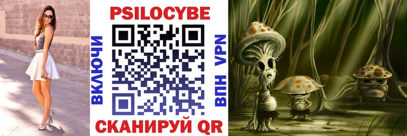 Галлюциногенные грибы Psilocybine cubensis МЕГА ССЫЛКА дарк нет наркотические препараты Норильск